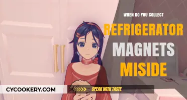 When and Why Do You Collect Miside Refrigerator Magnets?