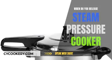 Steam Pressure Cooker: When to Release the Pressure?