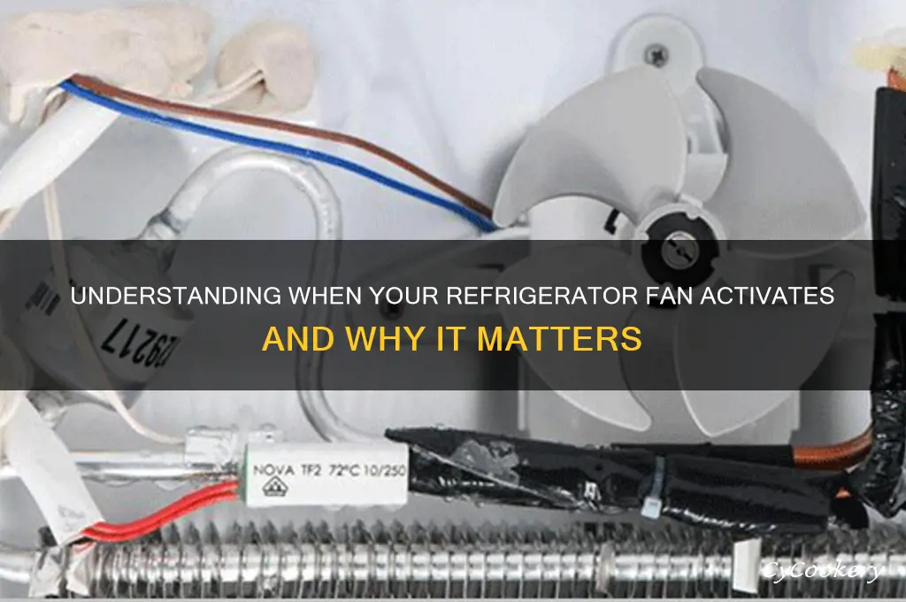 when does a refrigerator fan turn on