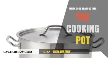Baam's Cooking Pot Journey: Timing and Transformation Explained