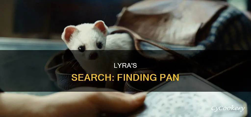 when does lyra get pan back