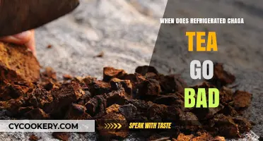 Refrigerated Chaga Tea Shelf Life: When Does It Go Bad?