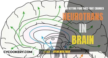 Unveiling the Science: How Pan's Impact on Neurotransmitters Unlocks Brain Potential