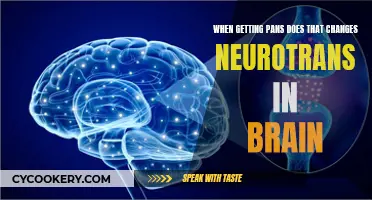PANS: Neurotransmitter Changes and Brain Impact
