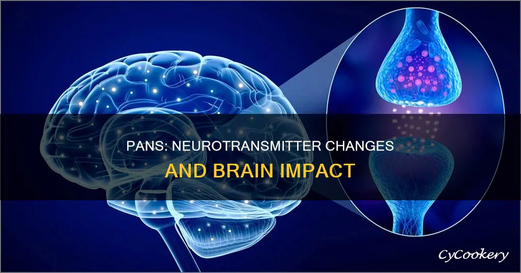 when getting pans does that changes neurotransmitter in brain