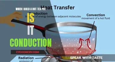 The Hot Teapot Experiment: Understanding Conduction Through Everyday Objects