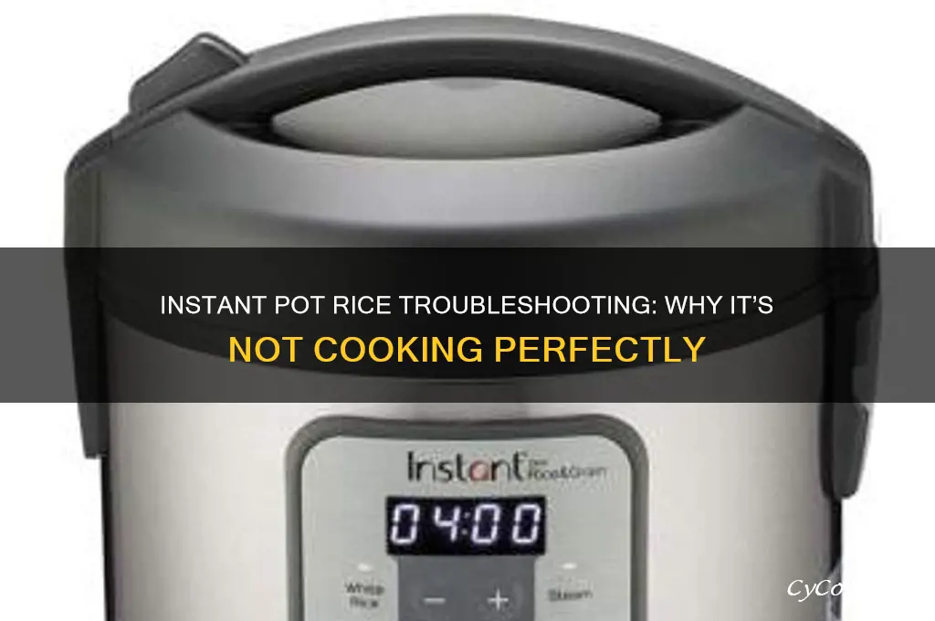 when inst pot rice doesnt cook