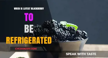 When Should You Refrigerate Fresh Blackberries for Optimal Freshness?