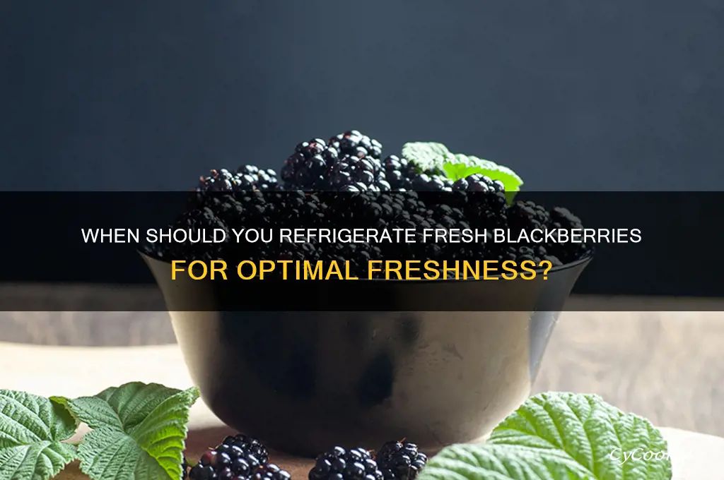 when is latest blackberry to be refrigerated