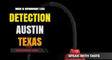Detecting Refrigerant Leaks in Austin: Timely Solutions for Texas Residents