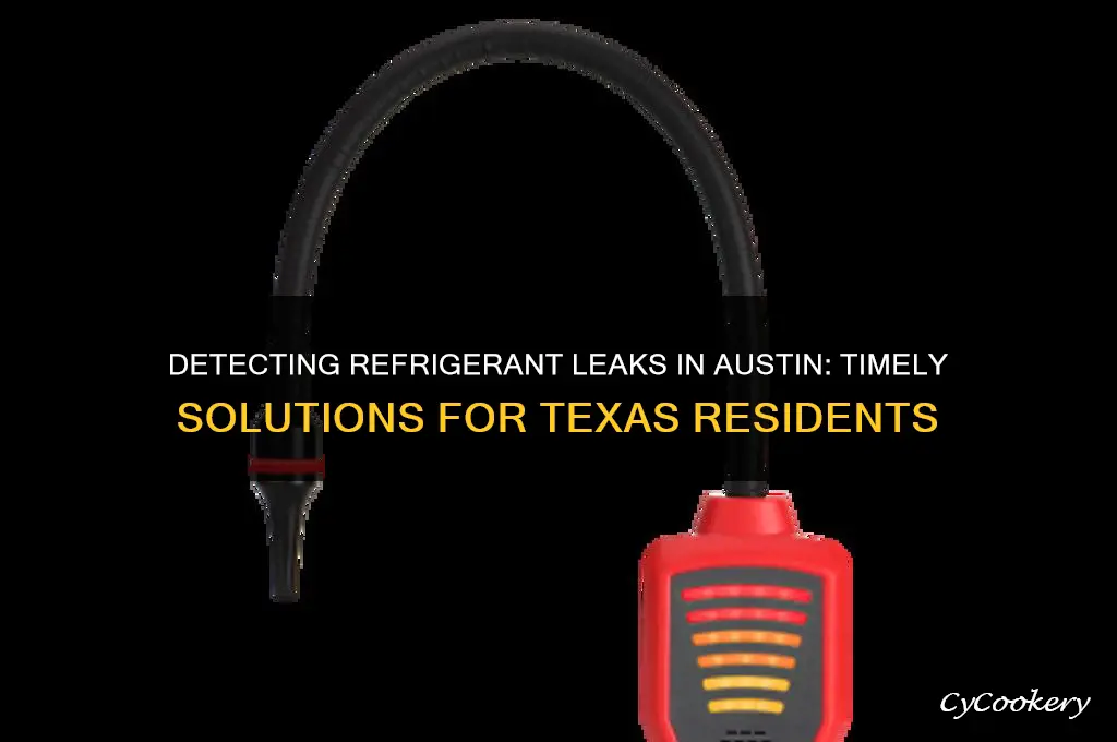 when is refrigerant leak detection austin texas