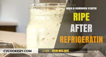 Reviving Refrigerated Sourdough Starter: Signs of Ripeness and Readiness