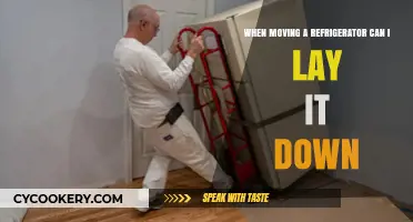 Can You Lay a Refrigerator Down When Moving? Expert Tips