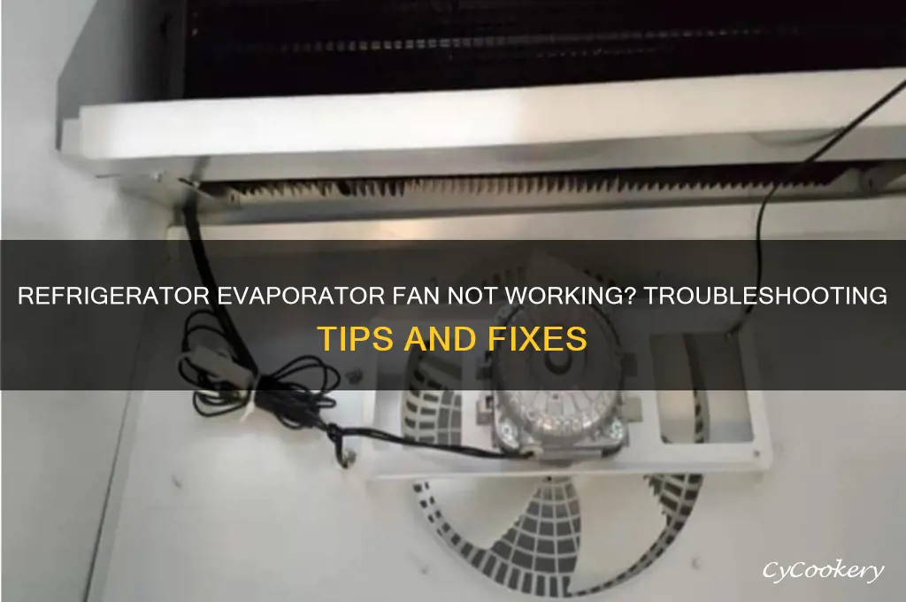 when open refrigerator evaporator fan not working