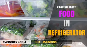 Power Outage Survival: How to Save Your Refrigerated Food Safely