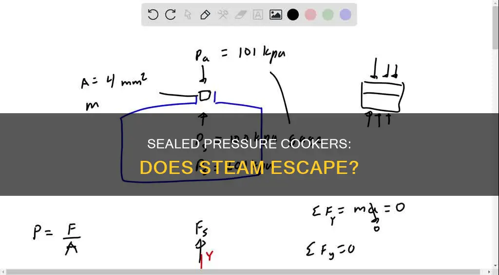 when pressure cooker is sealed does any steam escape