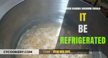 Should You Refrigerate Soaking Sorghum? Tips for Perfect Preparation