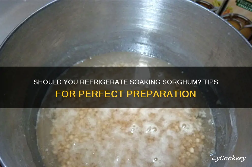 when soaking sorghum should it be refrigerated