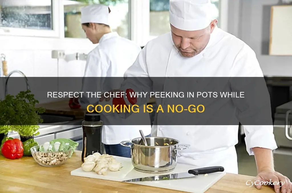 when someone looks in your pots while your cooking