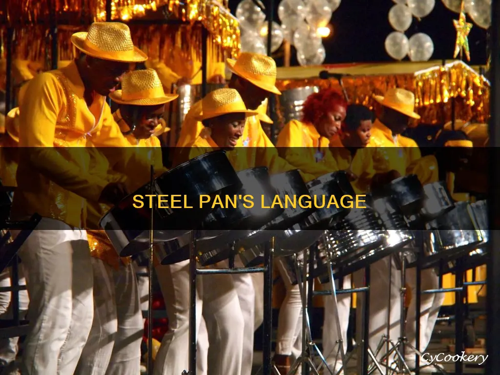 when steel pan talks