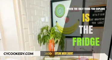 Exploring the Fridge: When Snacking Becomes Your Only Adventure
