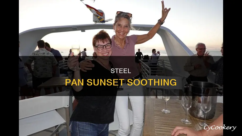 when the sun goes down steel pan