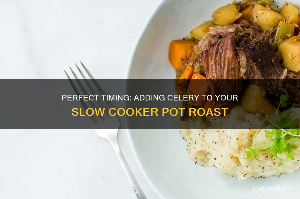 when to add celery to pot roast slow cooker