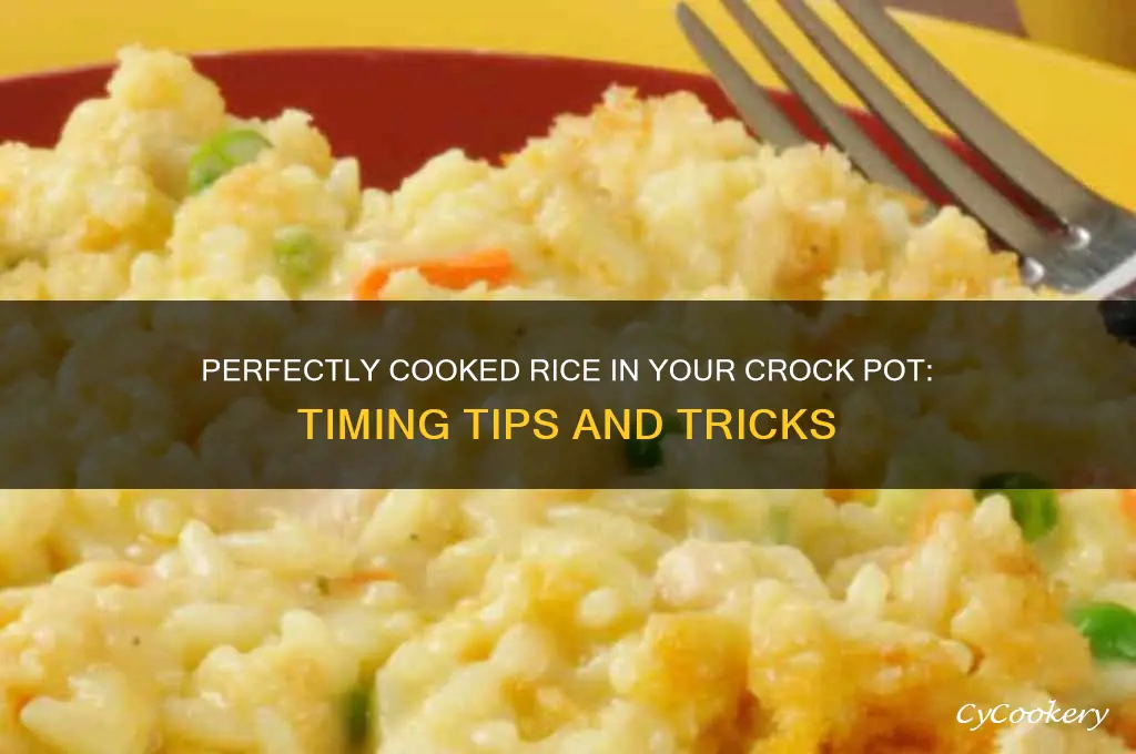 when to add cooked rice to crock pot