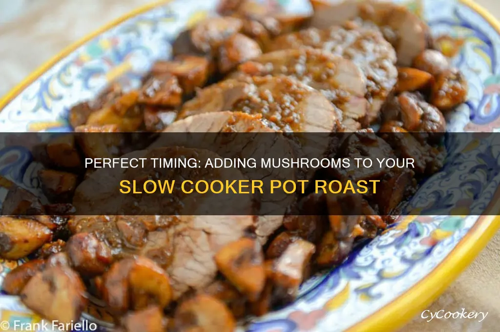 when to add mushrooms to pot roast slow cooker