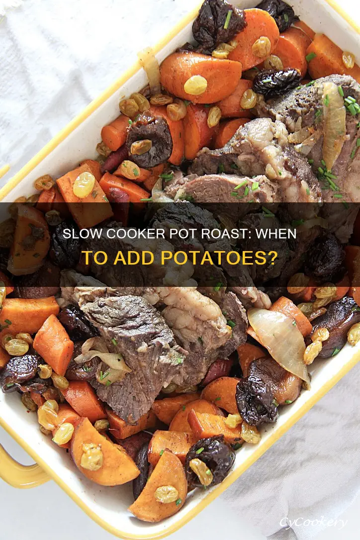 when to add potatoes to slow cooker pot roast