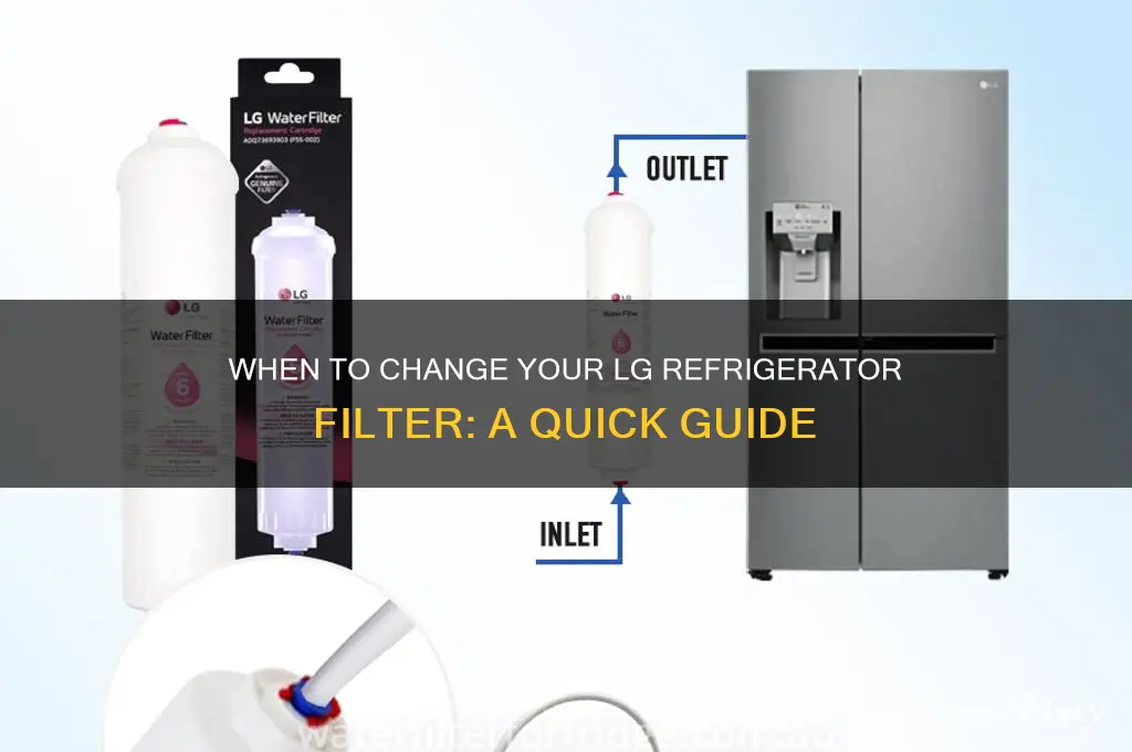 when to changing filter on lg refrigerator