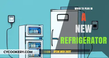 Perfect Timing: When to Plug In Your New Refrigerator Safely