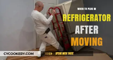 Moving Your Fridge? Here's When to Safely Plug It Back In