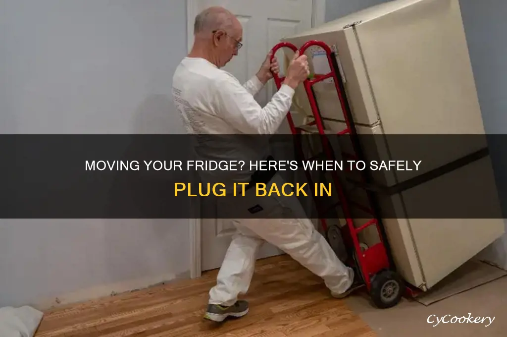 when to plug in refrigerator after moving