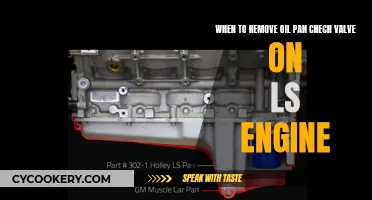 Removing Oil Pan Check Valve: LS Engine Maintenance