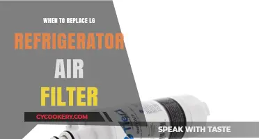 When to Replace Your LG Fridge Air Filter: A Guide
