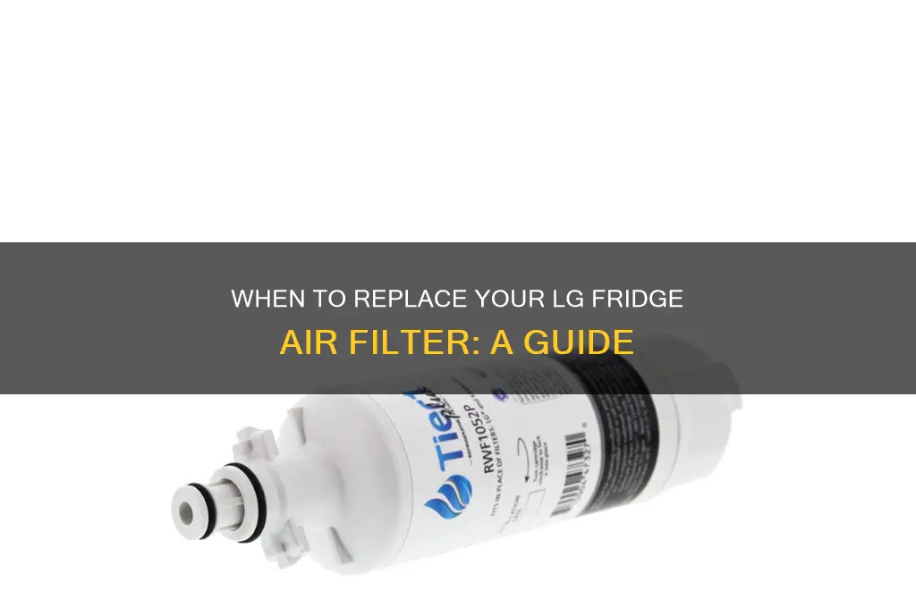 when to replace lg refrigerator air filter