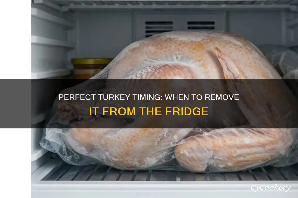 when to take turkey out of refrigerator