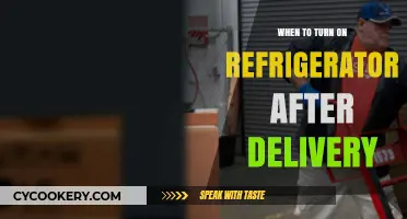 When to Turn On Your Refrigerator After Delivery: A Quick Guide