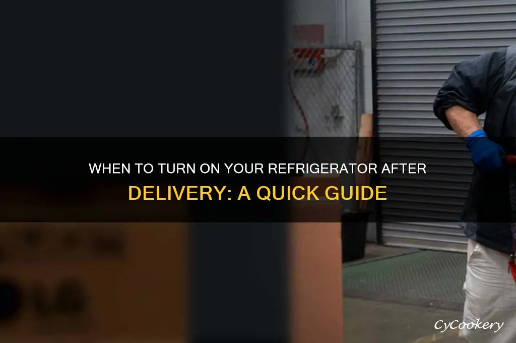 when to turn on refrigerator after delivery