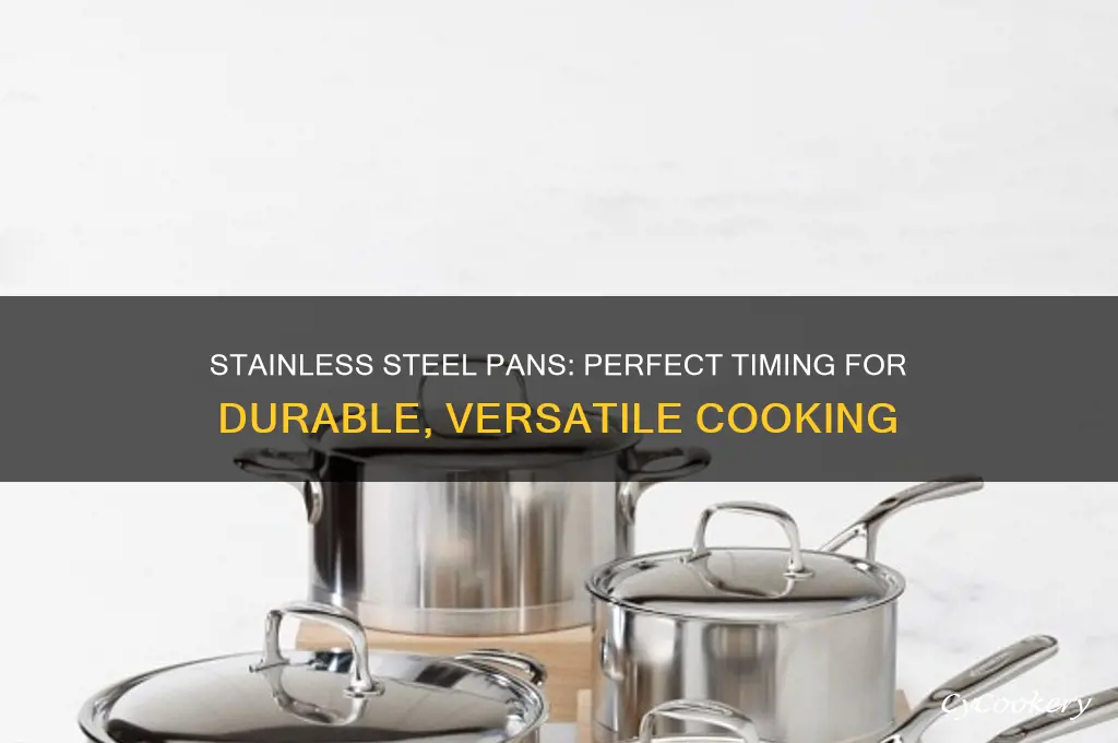 when to use stainless steel pan