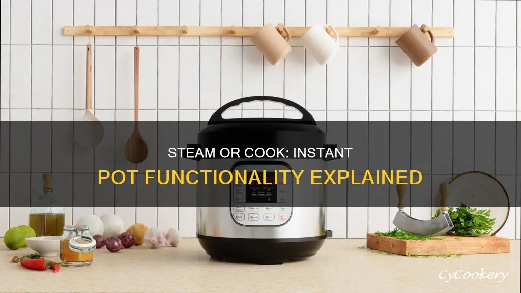 when to use steam or cook function in instant pot