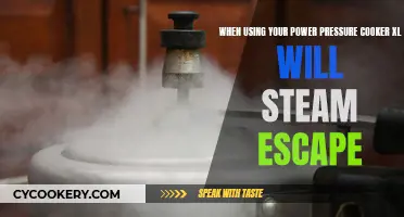 Power Pressure Cooker XL: Steam Escape and Safety