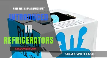 The Rise of R134a: A Refrigerant Revolution in the 1990s