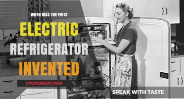 The Birth of the Electric Refrigerator: A Historical Overview