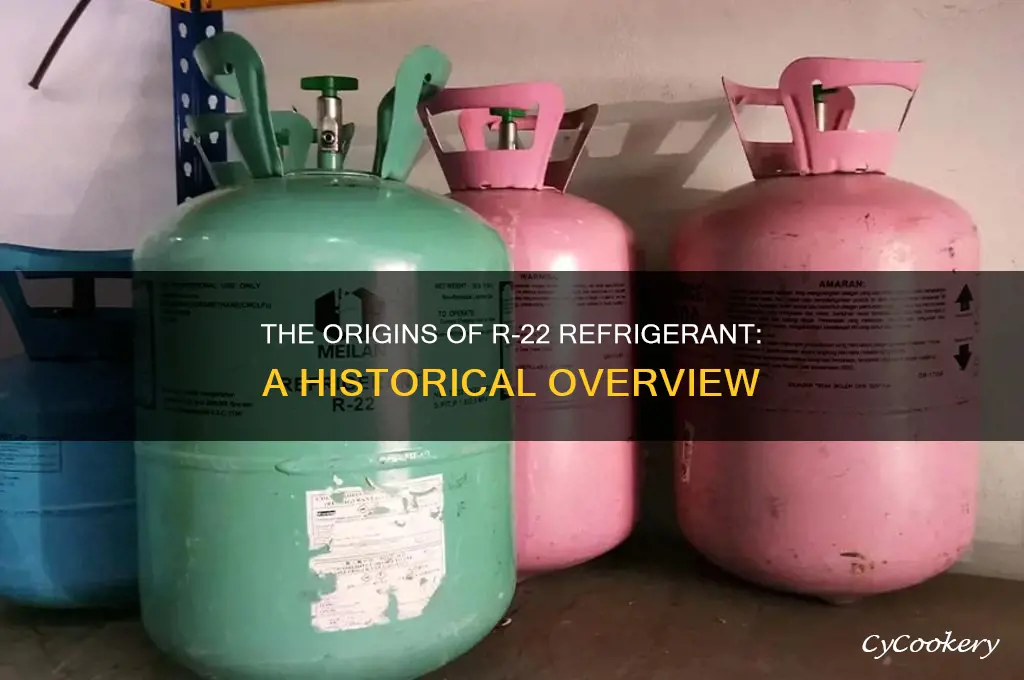 when was the refrigerant r-22 made