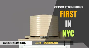 The Chilling History: NYC's First Refrigerators and Their Impact
