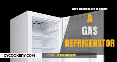 Why Choose a Gas Refrigerator: Benefits and Ideal Scenarios