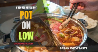 The Slow Simmer: How a Low Heat Setting Transforms Your Hot Pot Experience