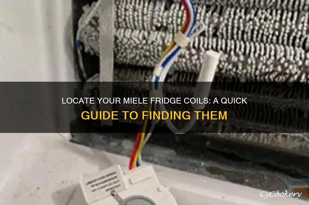 where are coils on my miele refrigerator
